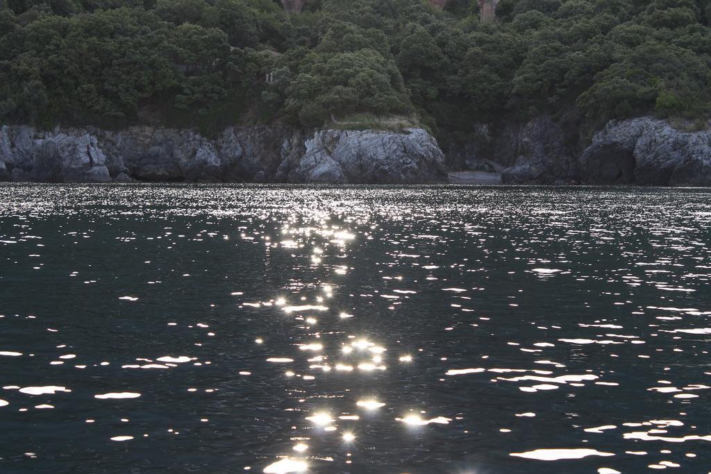 Il Vecchio E Il Mare Maratea Bed and Breakfast Eksteriør billede