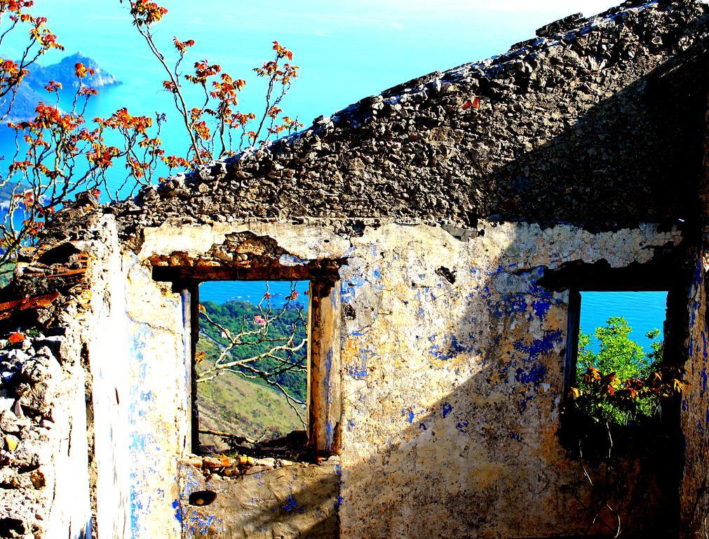 Il Vecchio E Il Mare Maratea Bed and Breakfast Eksteriør billede